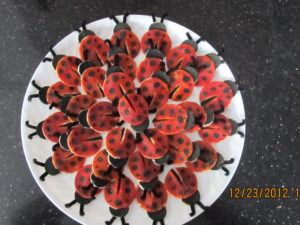 jali lady bugs40